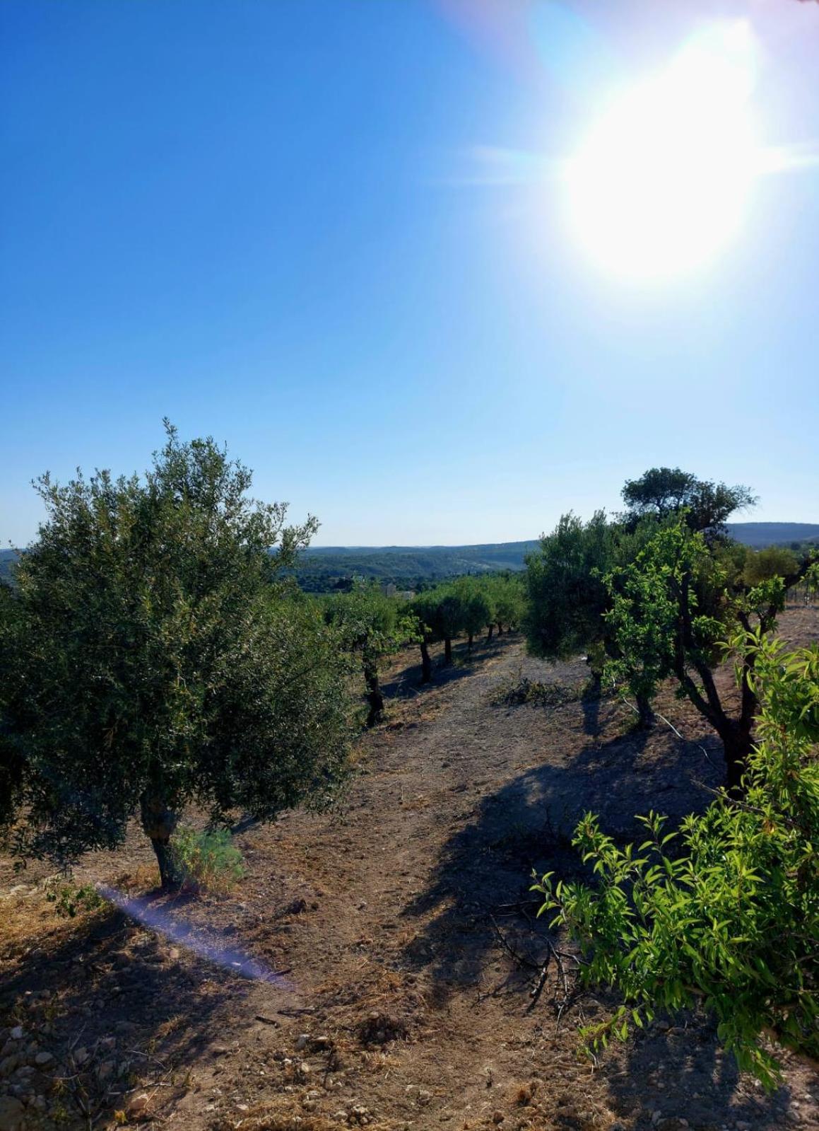"Bnb Noto" - Charming Tiny House Dış mekan fotoğraf